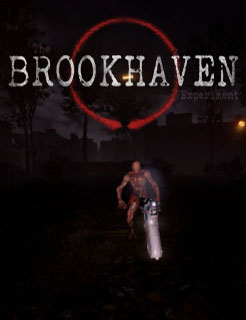 Brookhaven Experiment